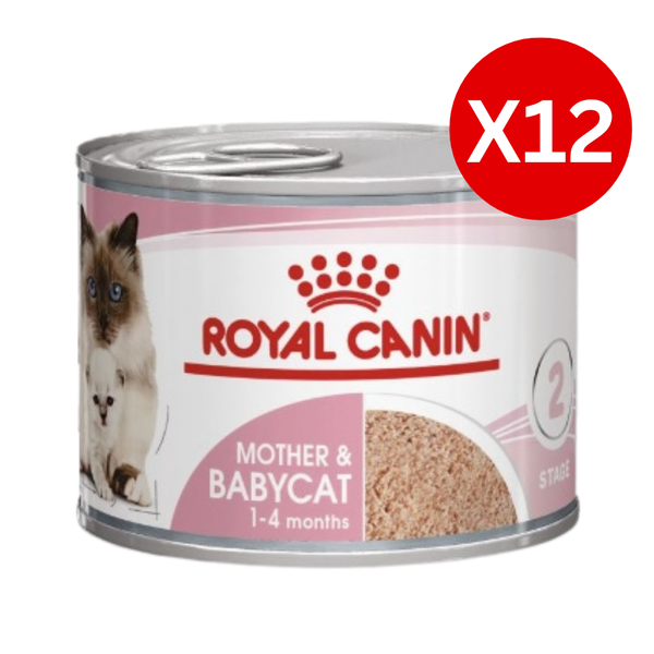 royal-canin-mother-babycat-mousse-young-adult-wet-cat-food-1