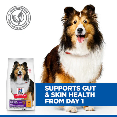 Hill's Science Plan Sensitive Stomach & Skin Medium Adult Dry Dog Food