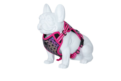 Boreal Reflective Harness for Dogs - Medium (Multiple Colors)