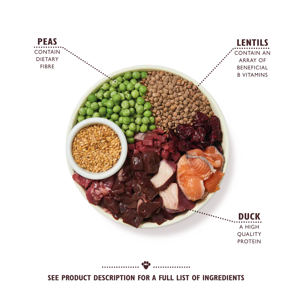 Lily's Kitchen Wild Woodland Walk With Duck, Salmon & Venison Adult Dry Dog Food