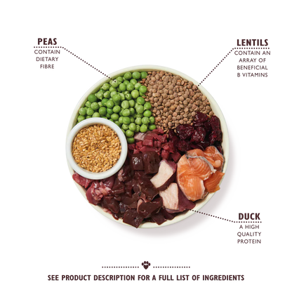 Lily's Kitchen Wild Woodland Walk With Duck, Salmon & Venison Adult Dry Dog Food