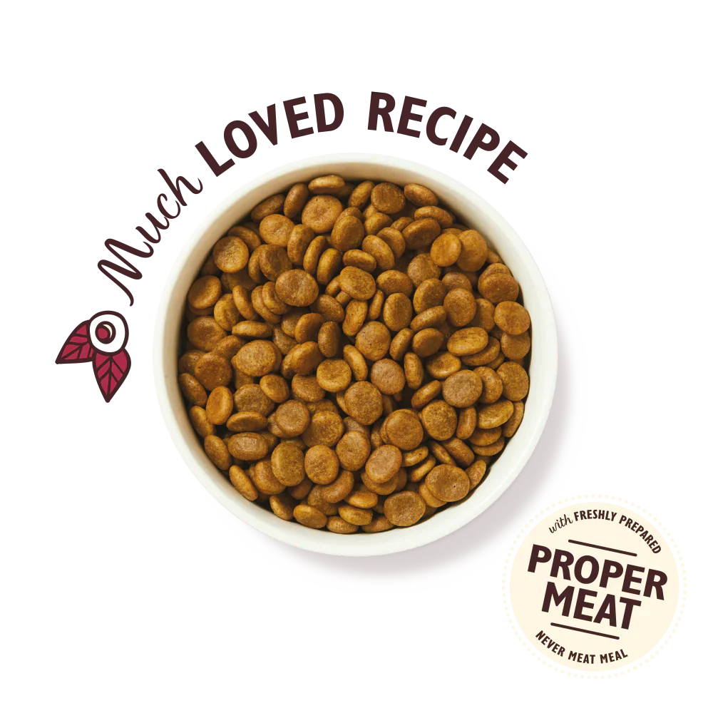 Lily's Kitchen Wild Woodland Walk With Duck, Salmon & Venison Adult Dry Dog Food