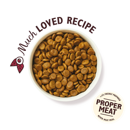 Lily's Kitchen Wild Woodland Walk With Duck, Salmon & Venison Adult Dry Dog Food