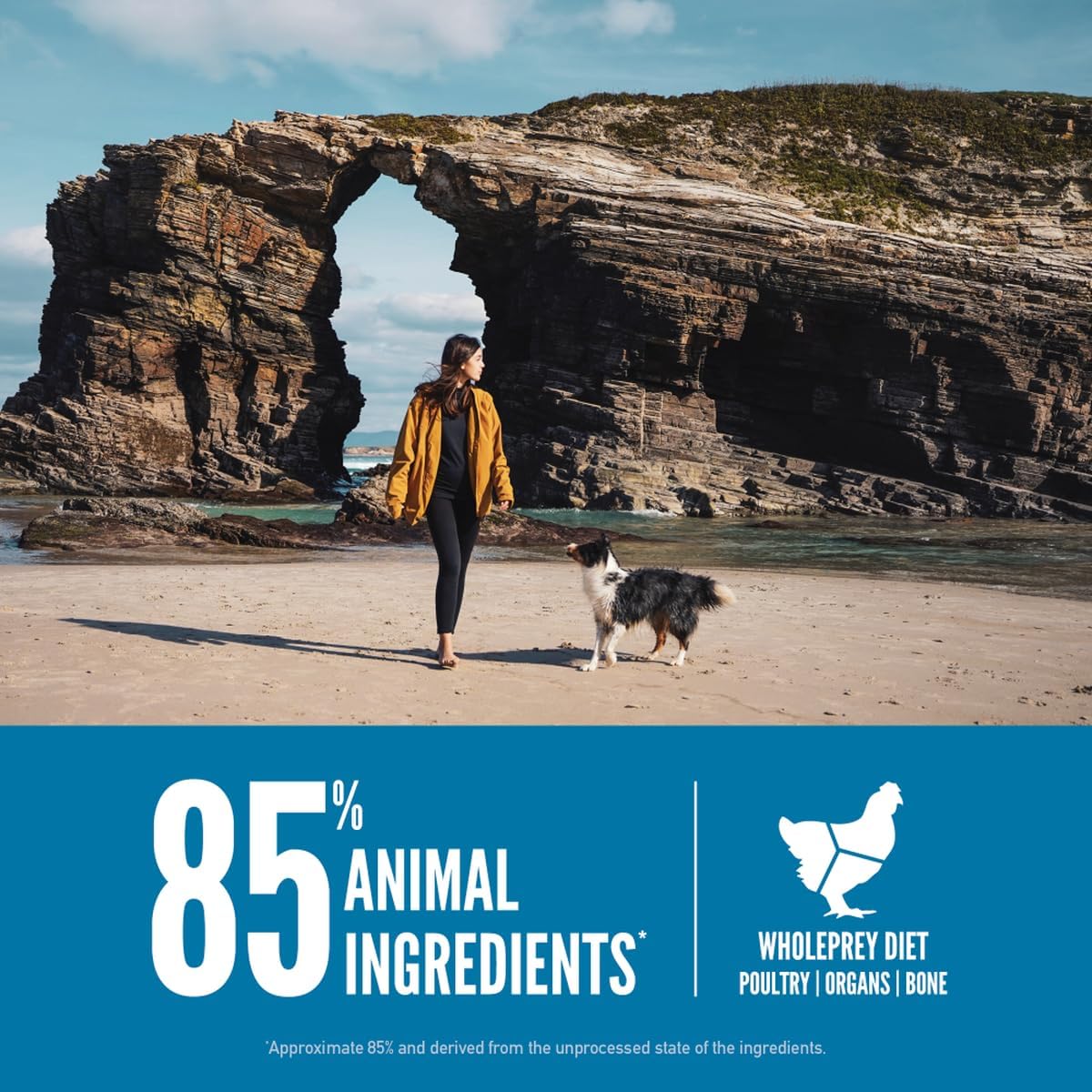 Orijen Six Fish Protein-Rich Adult Dog Dry Food