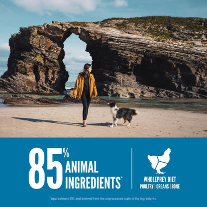 Orijen Six Fish Protein-Rich Adult Dog Dry Food