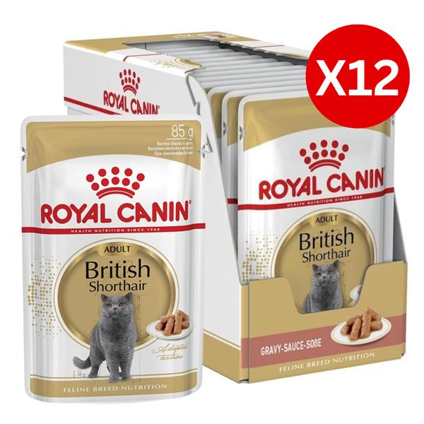 royal-canin-british-shorthair-adult-wet-cat-food-1