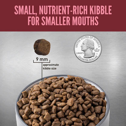 Orijen Small Breed Protein-Rich Dog Dry Food (Best
