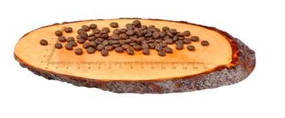 carnilove-salmon-for-adult-cat-dry-food 2