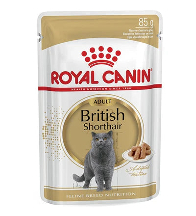 Royal Canin British Shorthair Adult Wet Cat Food - 85G (Pack of 12)